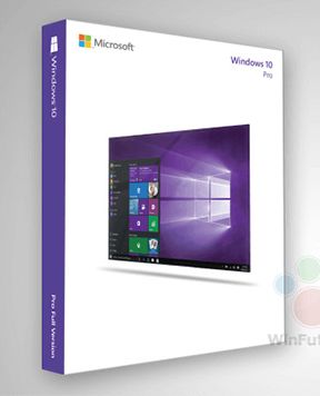 Microsoft Windows 10 Professional